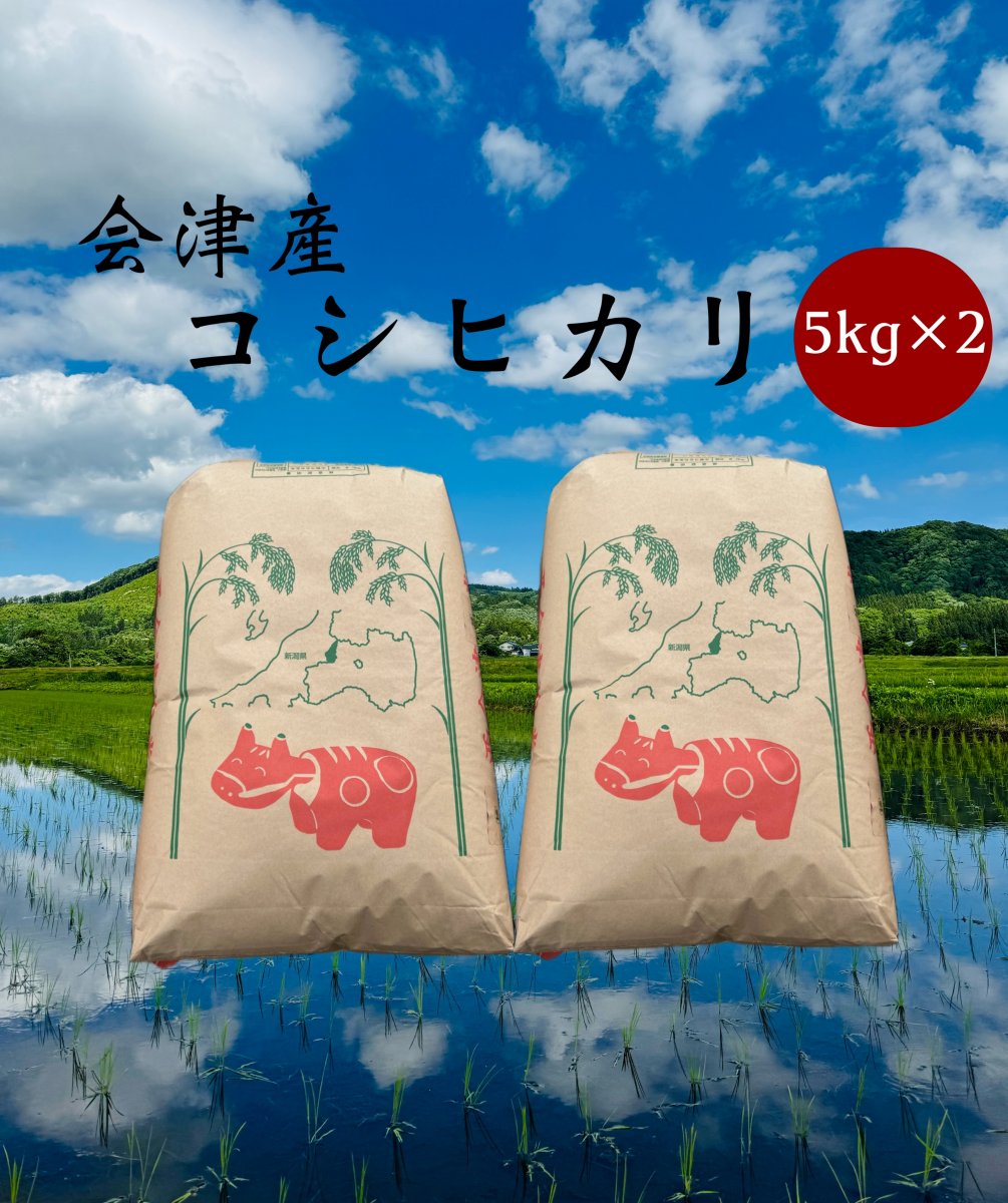令和6年産コシヒカリ（会津産）5kg×2セット【白米】