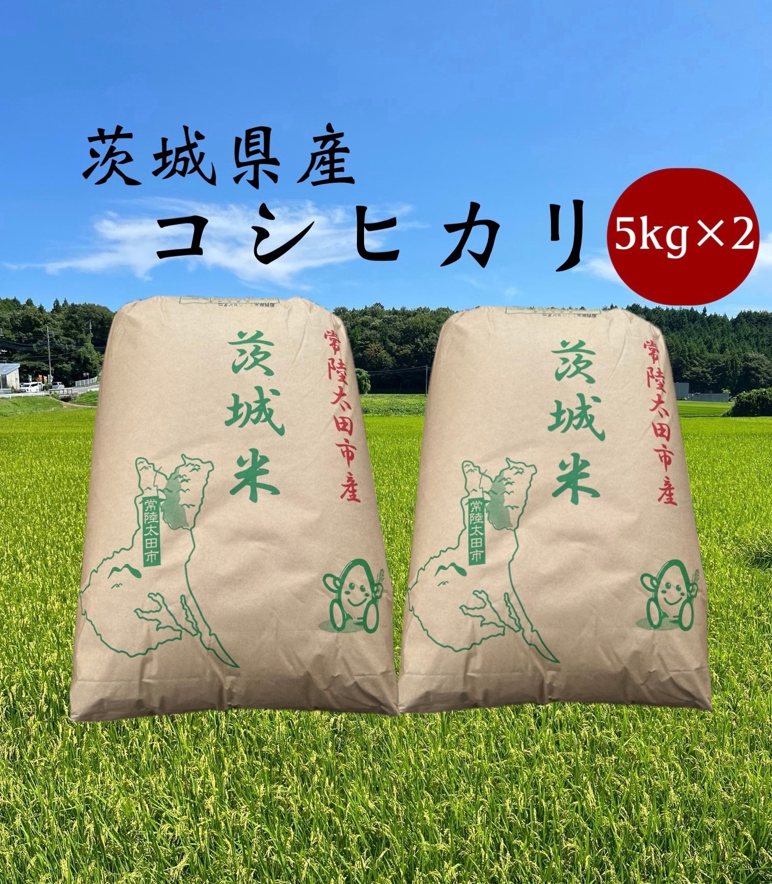 白米】 茨城県産 コシヒカリ 20kg(5kg×4袋) - メルカリ