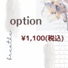 オプション　1100円税込