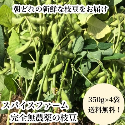 【予約販売】無農薬栽培の美味しい枝豆350g×4袋5/6以降順次発送