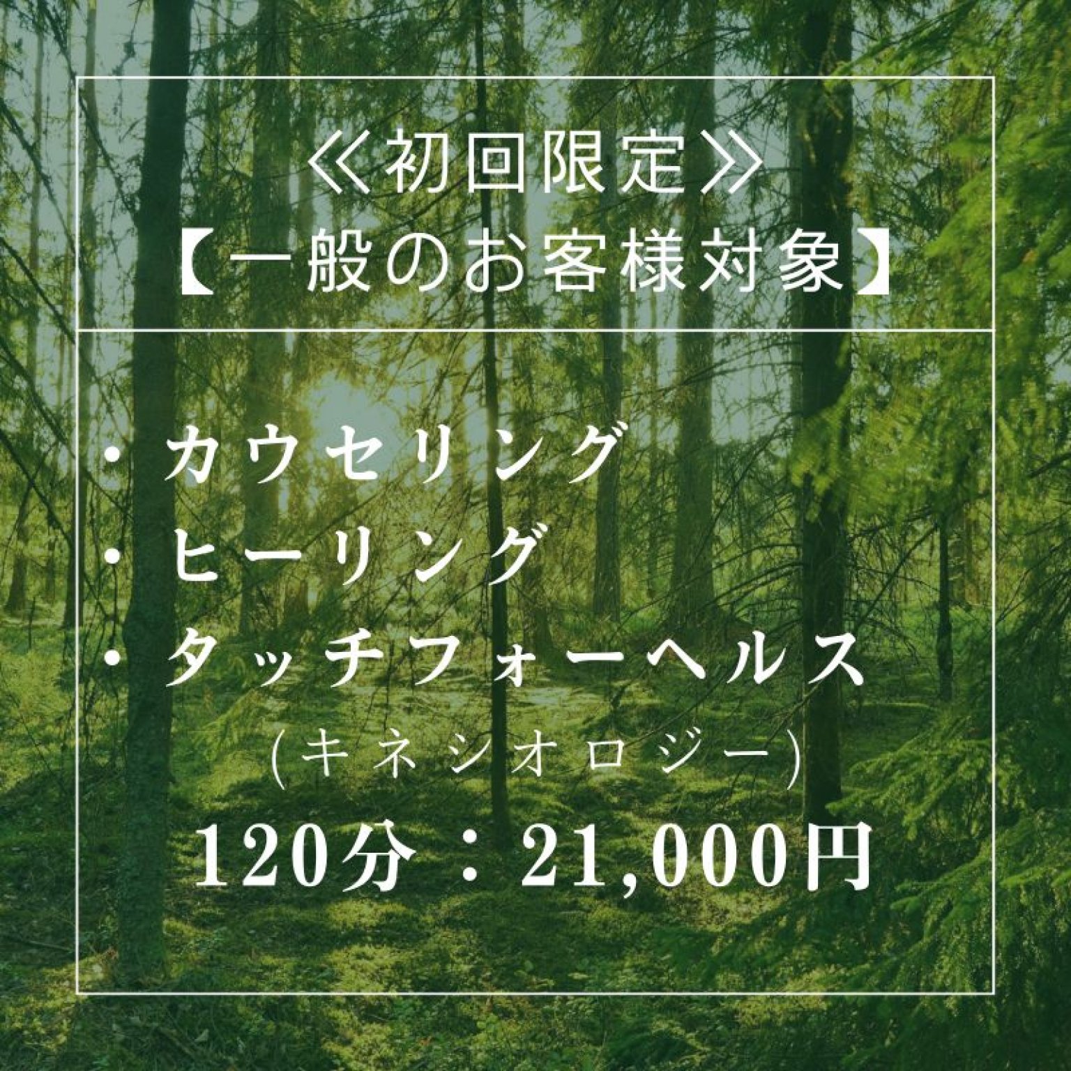【全国出張】初回限定 : カウセリング・ヒーリング・タッチフォーヘルス (キネシオロジー) 120分