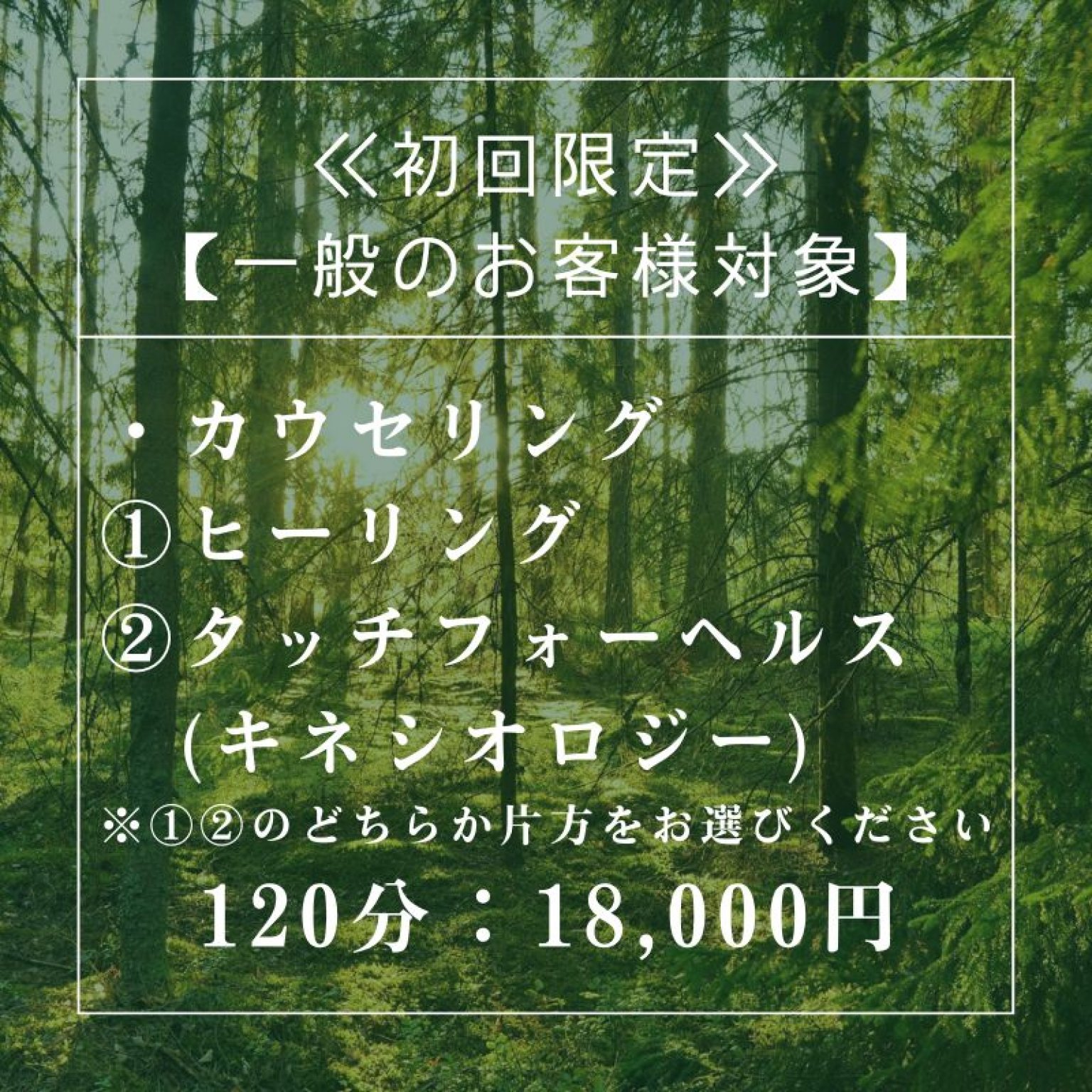 【全国出張】カウセリング ＋「ヒーリング」or「タッチフォーヘルス」※どちらか片方をお選びください 120分