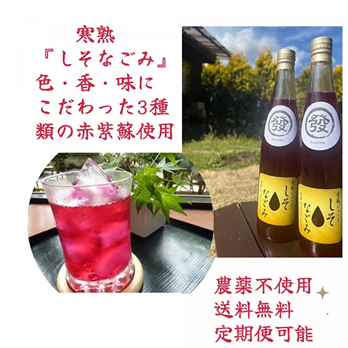 売れてます！送料無料！『寒熟』しそジュース 500ml瓶 2本入り 『しそなごみ』