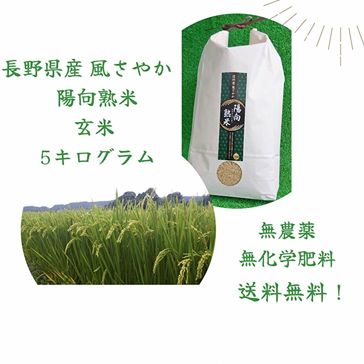 売れてます！  送料無料！ 長野県発の農薬・化学肥料不使用の玄米『風さやか陽向熟米5kg』