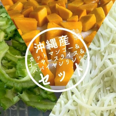 【500ｇ】キーツマンゴー & 【300ｇ】ゴーヤー ＆【360ｇ】野菜パパイヤシリシリ 冷凍 お試しセット