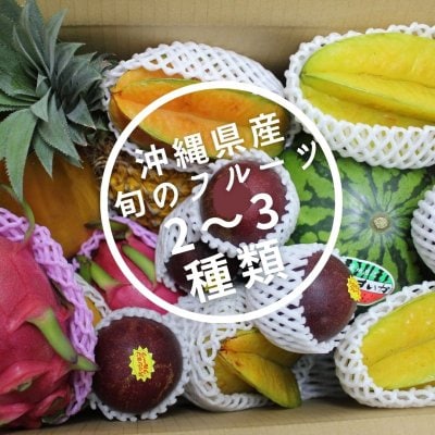 【2〜3種類】 沖縄県産 お任せフルーツセット 送料無料 60サイズ