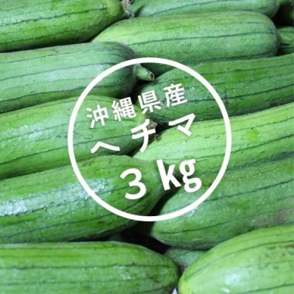 【3㎏】 沖縄県産 ヘチマ （食用）