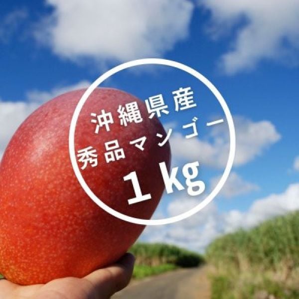 【１㎏】秀品 沖縄県産マンゴー(2〜3玉入り)