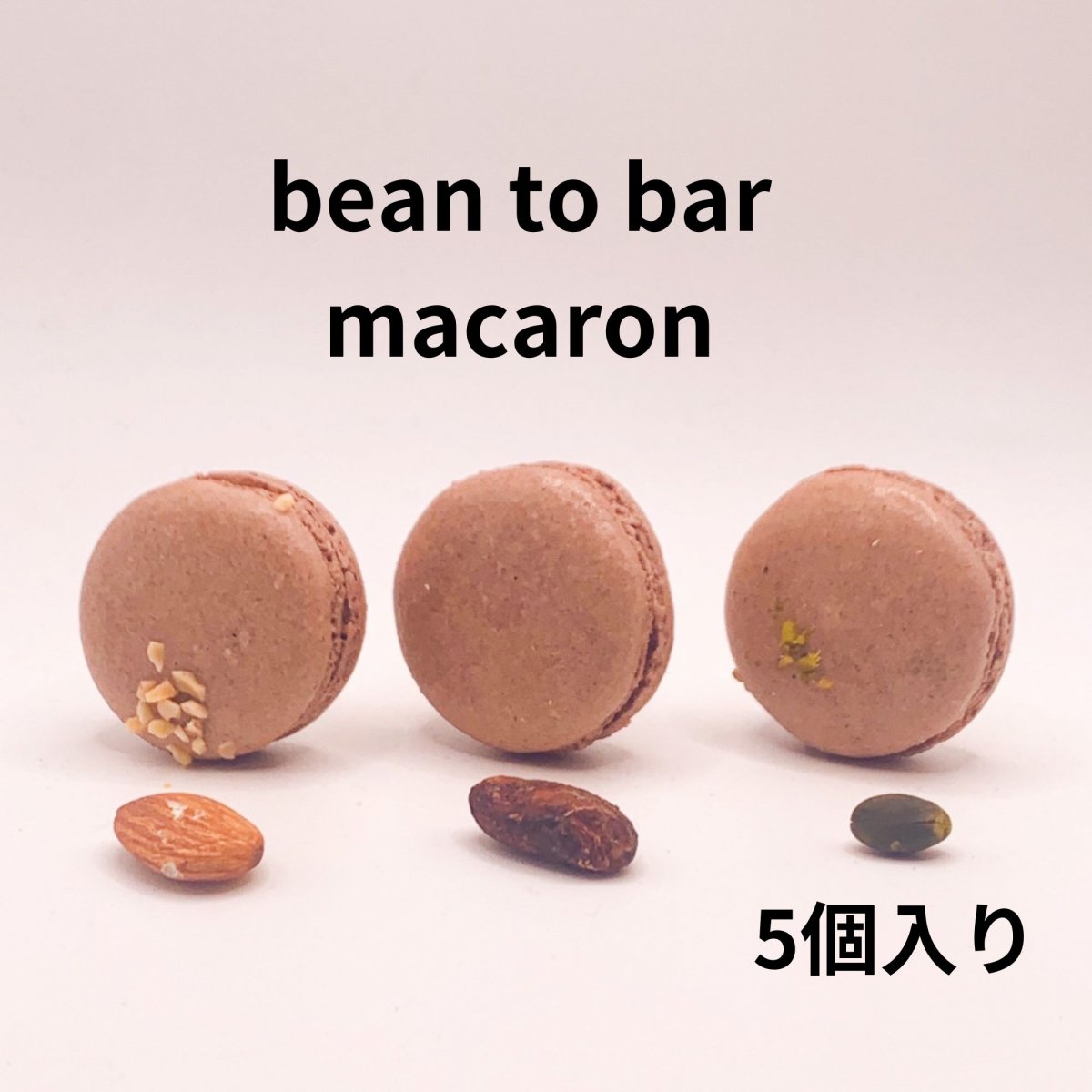 Bean to bar macaron5個入