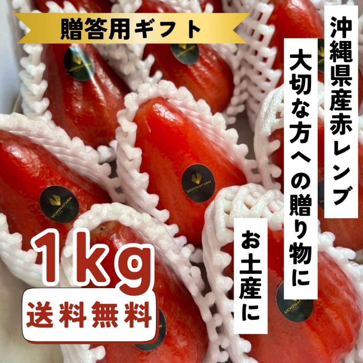 【沖縄県産贈答用】赤レンブ 約1kg（10個前後）トロピカルフルーツ・生果実