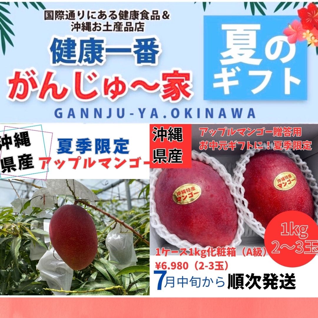 沖縄県産アップルマンゴー予約受付開始】1ケース1kg化粧箱 約2