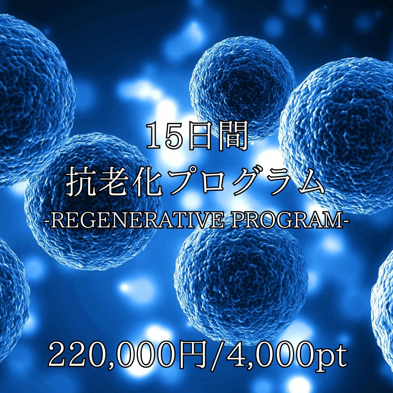 【12/31まで期間限定】抗老化プログラム 整体院SUN