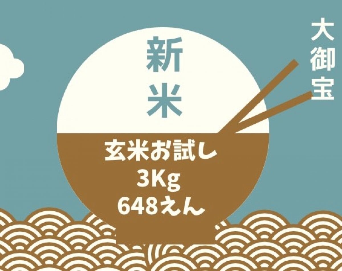 玄米　新米【伊賀市のブランド米】高波動米 大御宝　 玄米３kg　実質無料お試し　
