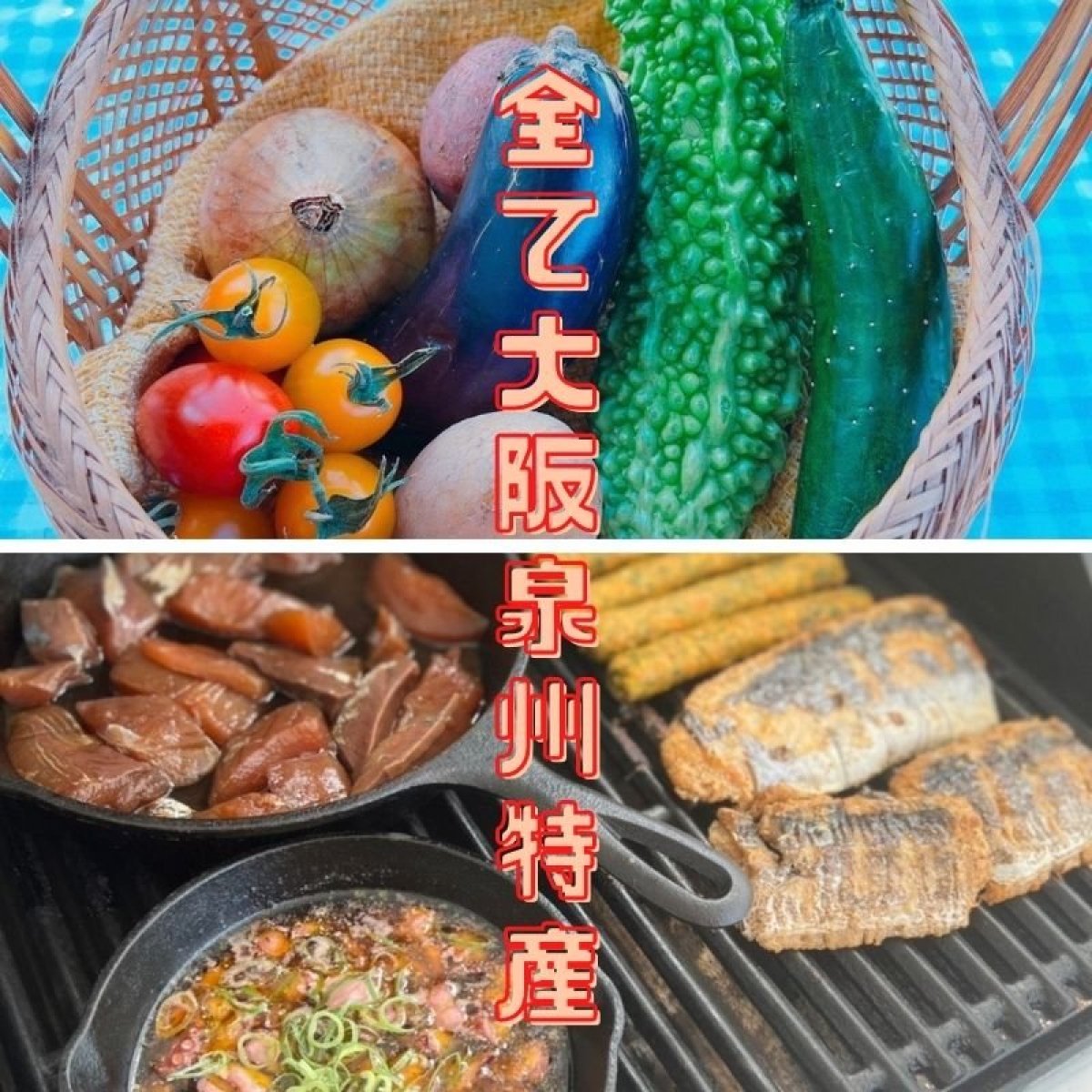 【２人〜３人前】ＢＢＱセット　海鮮　旬の野菜　旬の魚　６次化商品　大阪泉州特産 