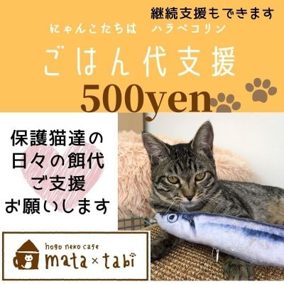 【1回応援】500円保護猫達のごはん代支援チケット保護猫カフェmata×tabi　
