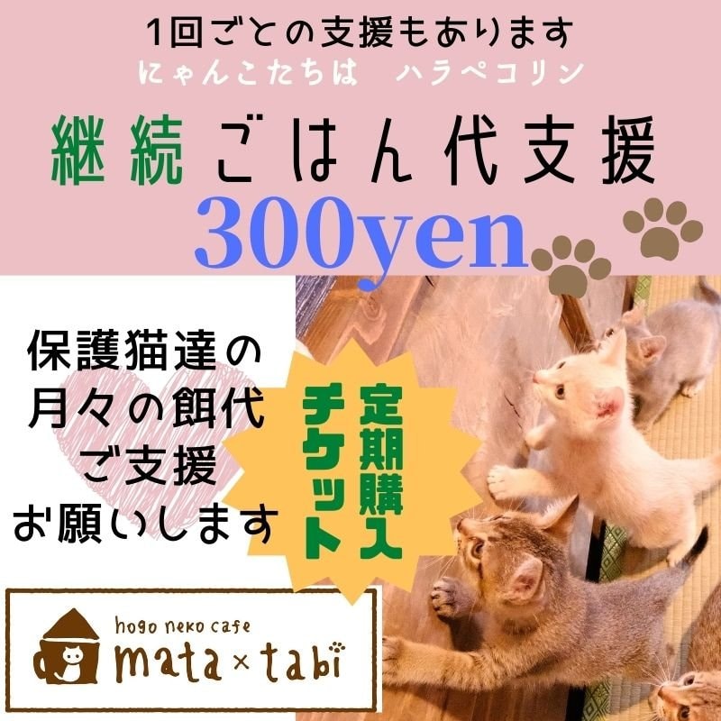 [継続応援]毎月300円保護猫達のごはん代定期支援チケット保護猫カフェmata×tabi　