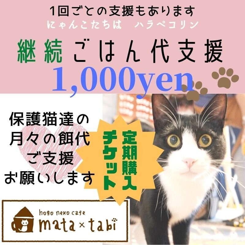[継続応援]毎月1,000円保護猫達のごはん代定期支援チケット保護猫カフェmata×tabi　