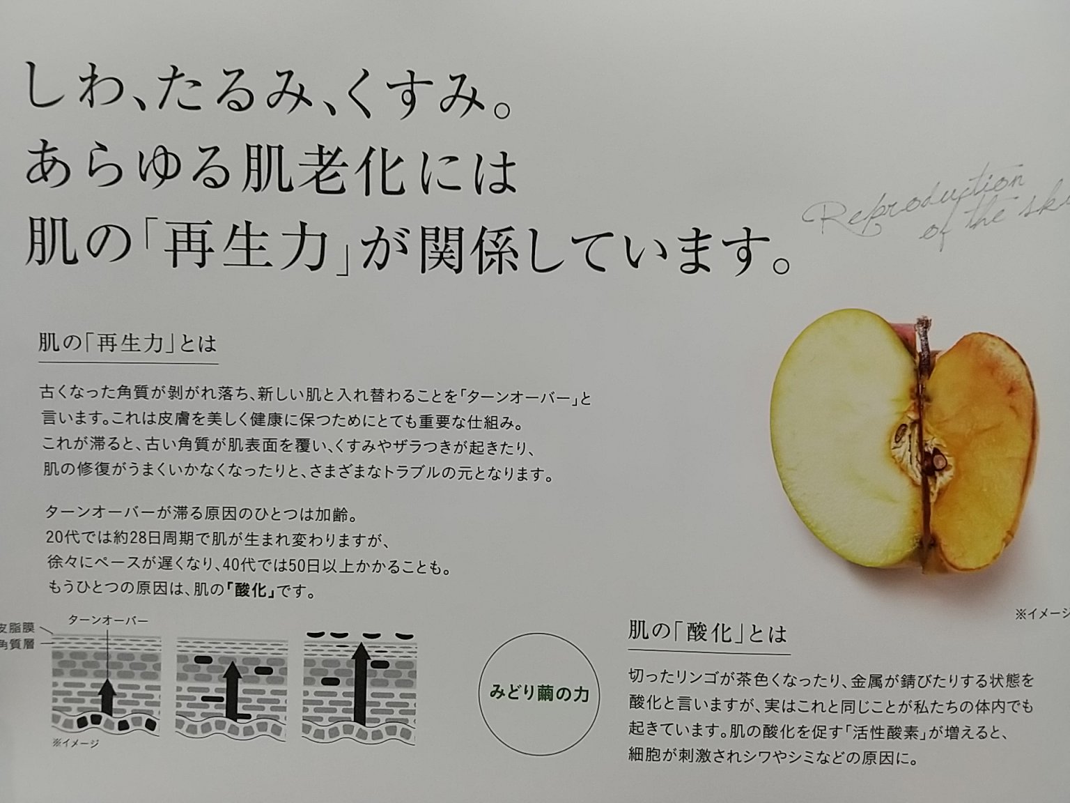 美波お買い物チケット￥700