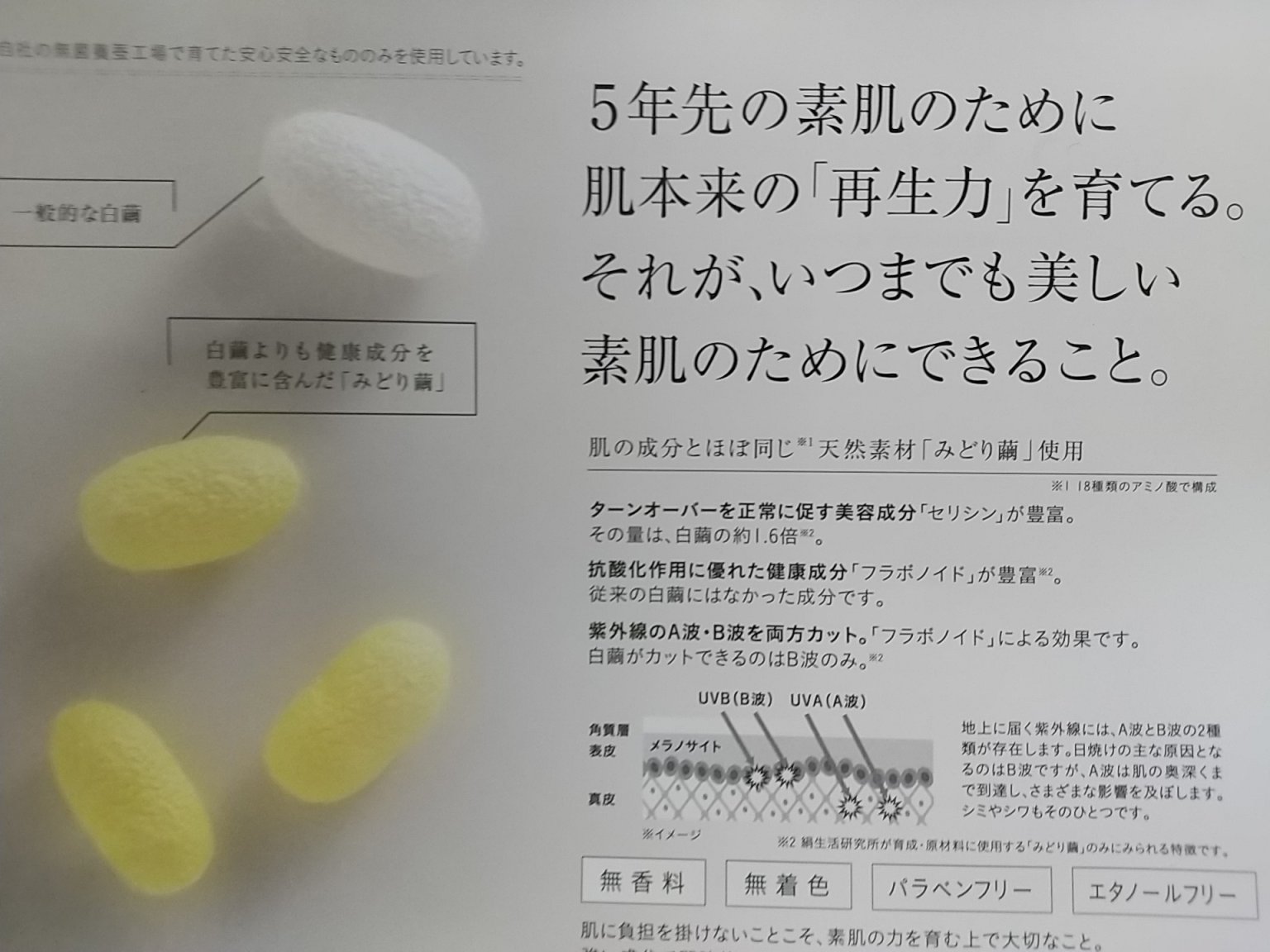 美波お買い物チケット￥700