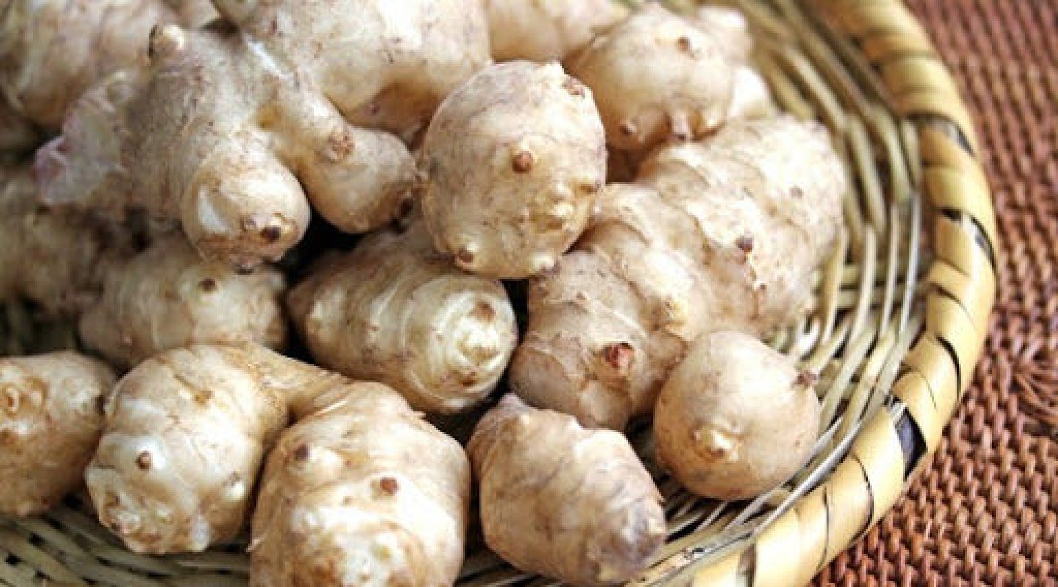 【オンライン開催】腸活に役立つ！水溶性食物繊維イヌリン秘話