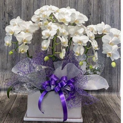 沖縄のお花屋さん 花の藤商