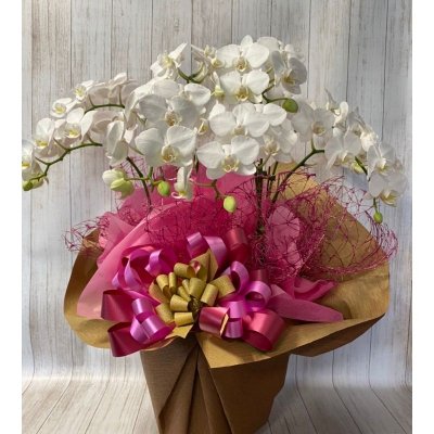 沖縄のお花屋さん 花の藤商