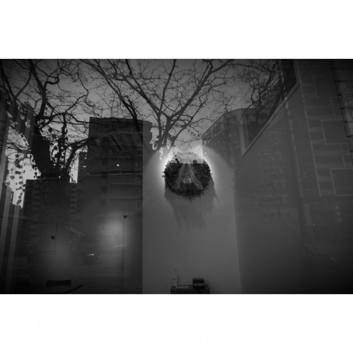 写真 297×210 A4サイズ 【現地払い専用】