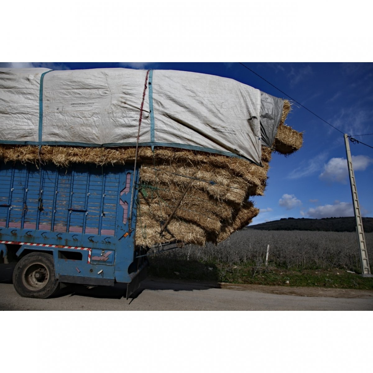 写真 297×210 A4サイズ 【現地払い専用】