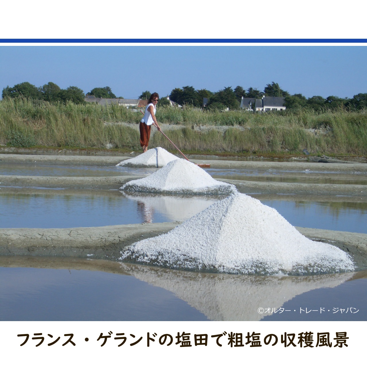 ゲランドの塩【粗塩・あらじお】800g 【2袋までレターパックプラス対応