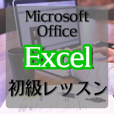 Microsoft Office Excel 初級レッスン（オンライン）
