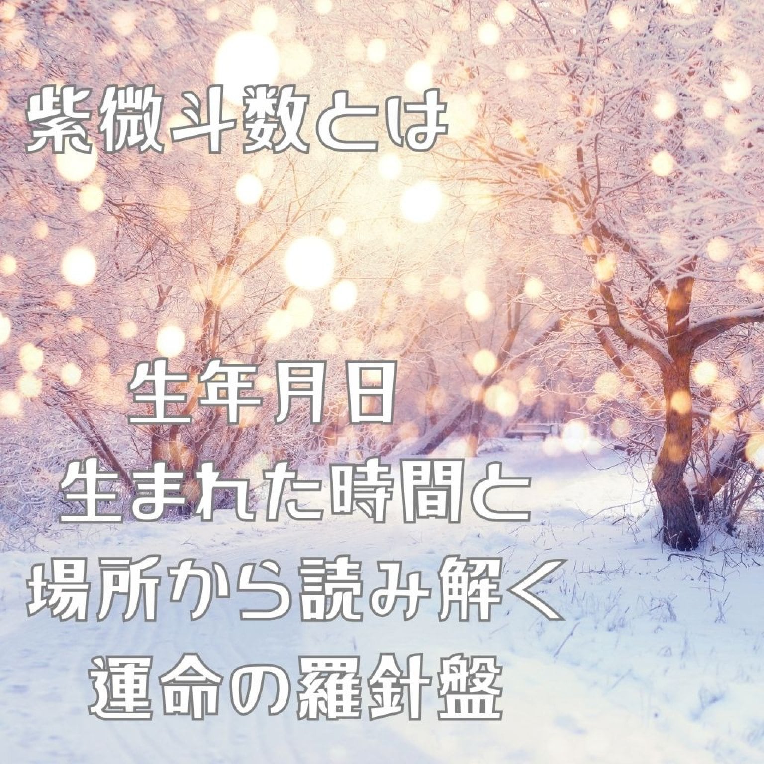 高ポイント還元！【紫微斗数 オンライン鑑定60分】今年の運勢/仕事運/恋愛運/金運など占います