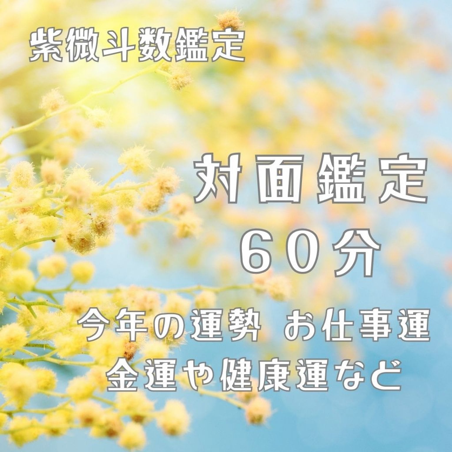 【紫微斗数】人生の流れと“今の迷い”に光を灯す60分｜福岡・対面鑑定