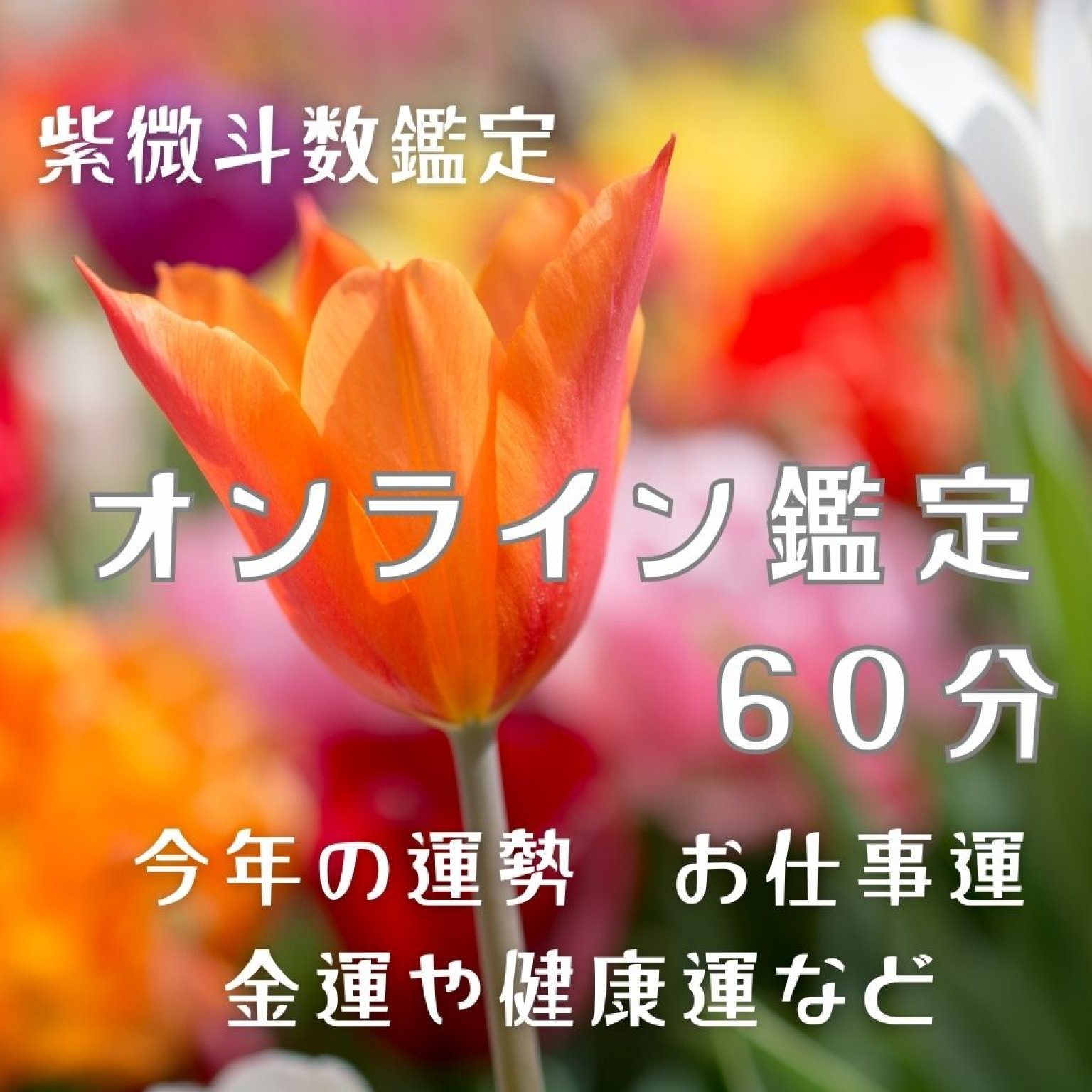 【紫微斗数】人生の流れと“今の迷い”に光を灯す60分｜オンライン鑑定