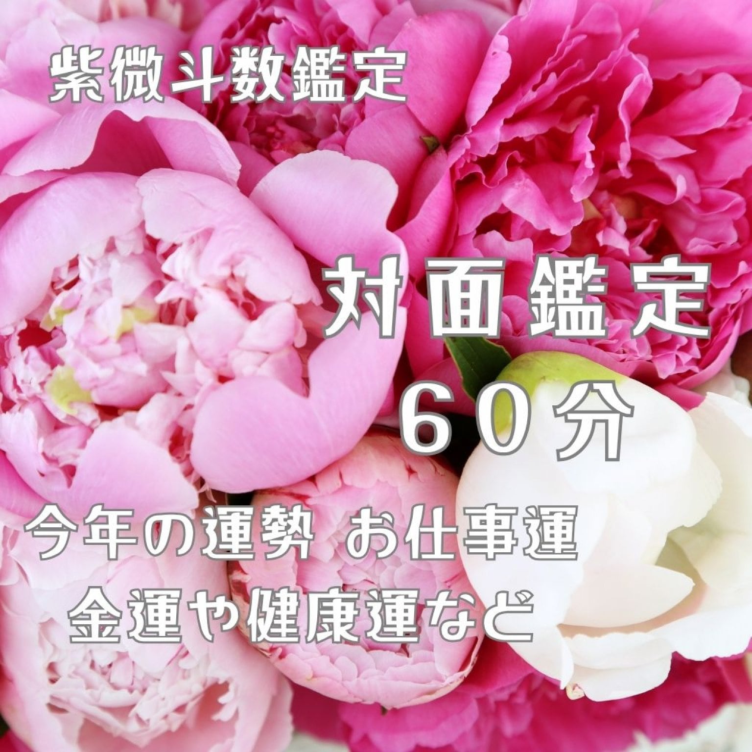 【紫微斗数】人生の流れと“今の迷い”に光を灯す60分｜福岡・対面鑑定