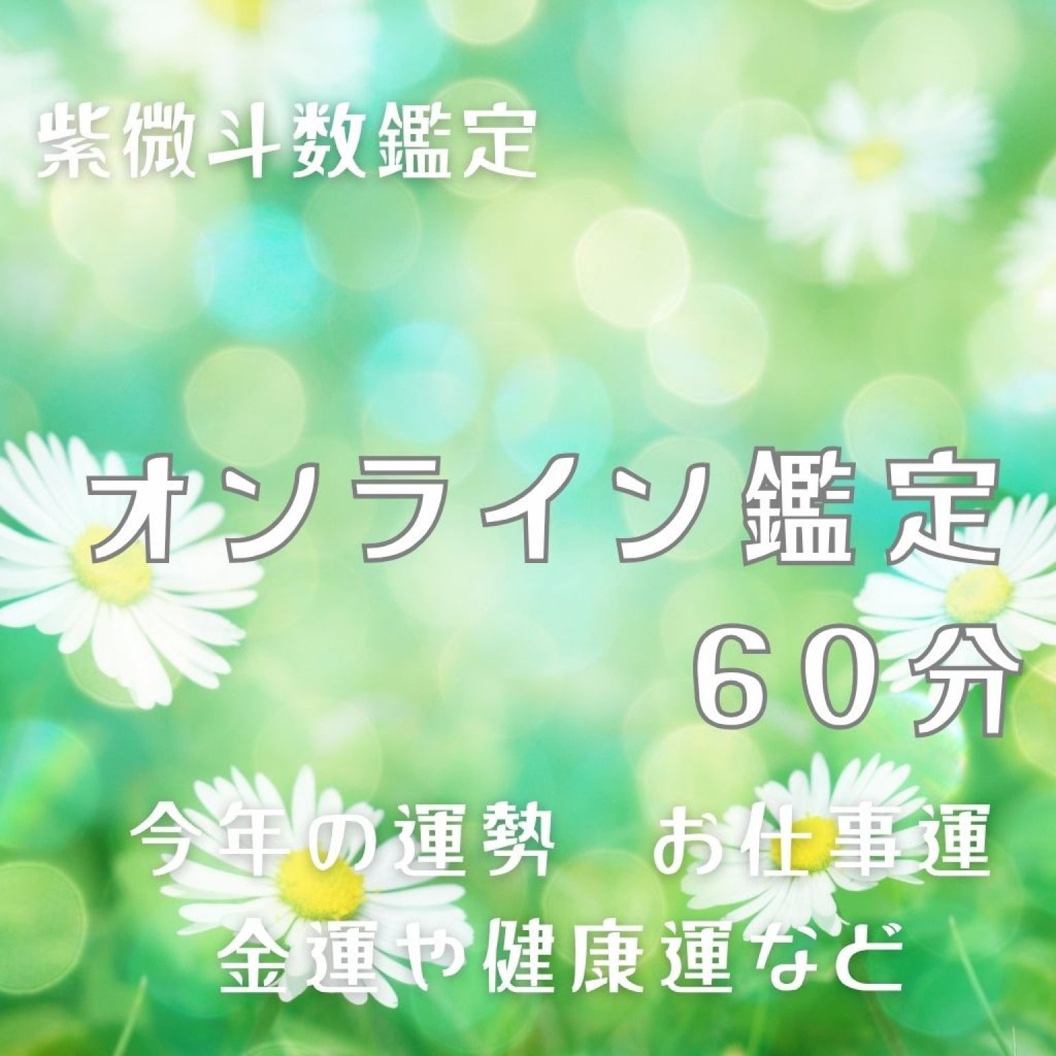 【紫微斗数】人生の流れと“今の迷い”に光を灯す60分｜オンライン鑑定