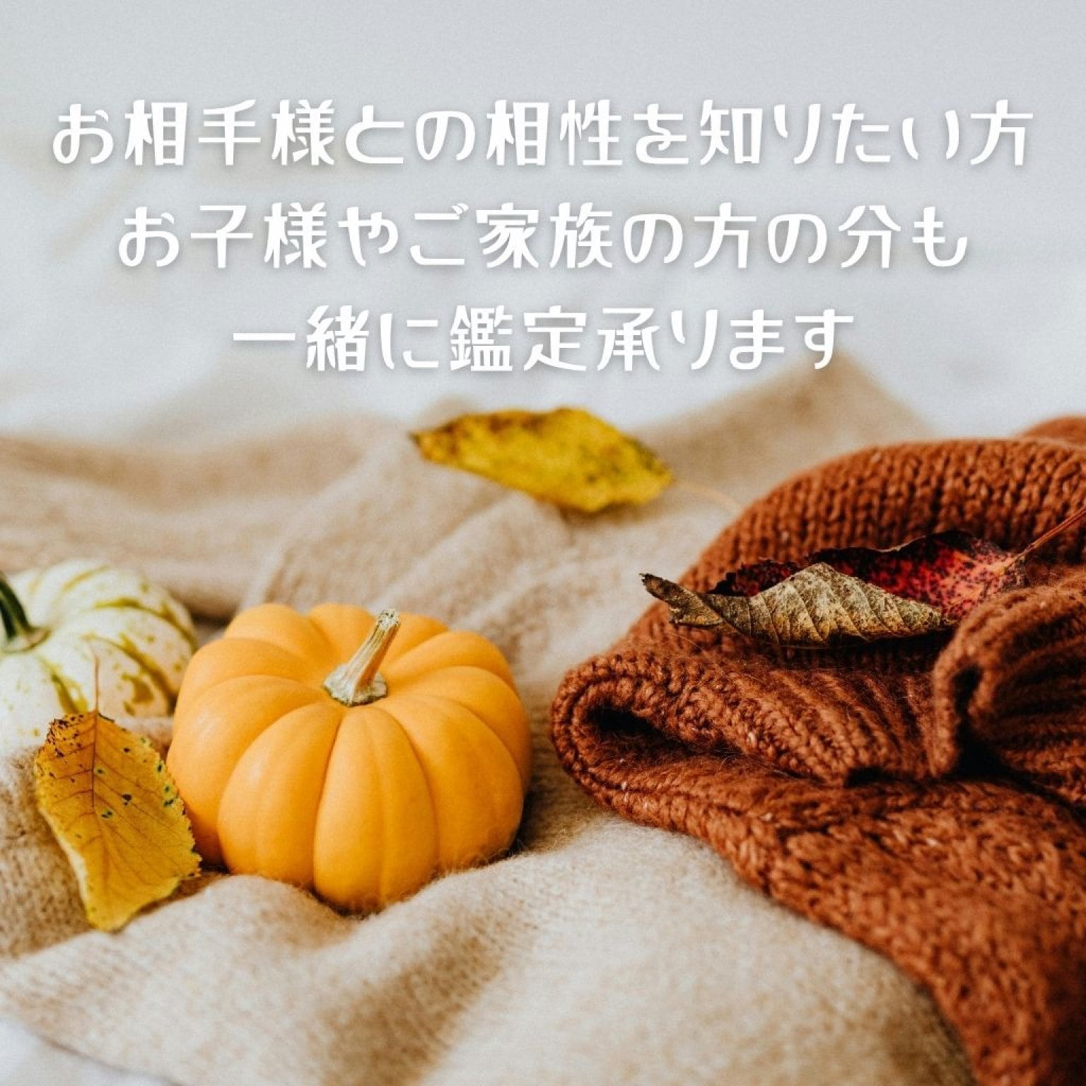 【紫微斗数】人生の流れと“今の迷い”に光を灯す60分｜福岡・対面鑑定