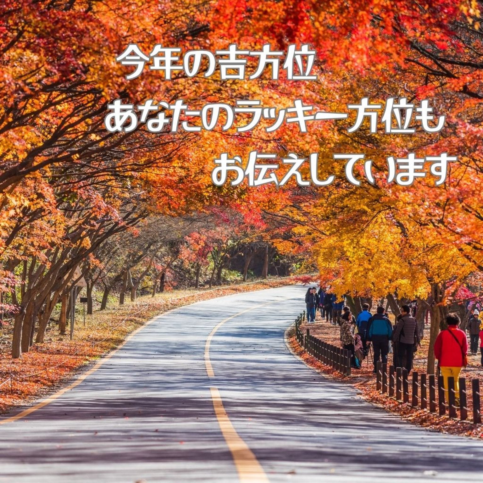 【紫微斗数】人生の流れと“今の迷い”に光を灯す60分｜福岡・対面鑑定