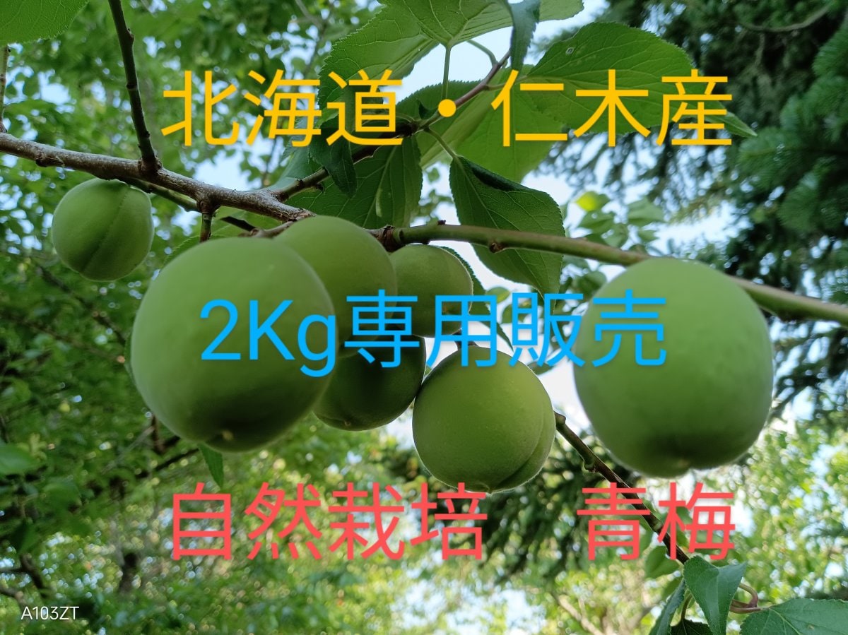 自然栽培の仲間たち*奇跡のリンゴ 木村秋則* - Yahoo!ショッピング