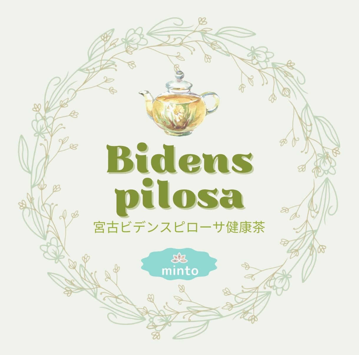 みんと様専用 （みんと様専用線 タヒボ茶24包）