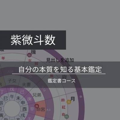 紫微斗数 鑑定 占い 性格 運勢 恋愛 結婚 仕事 金運 天職 宿命 運命