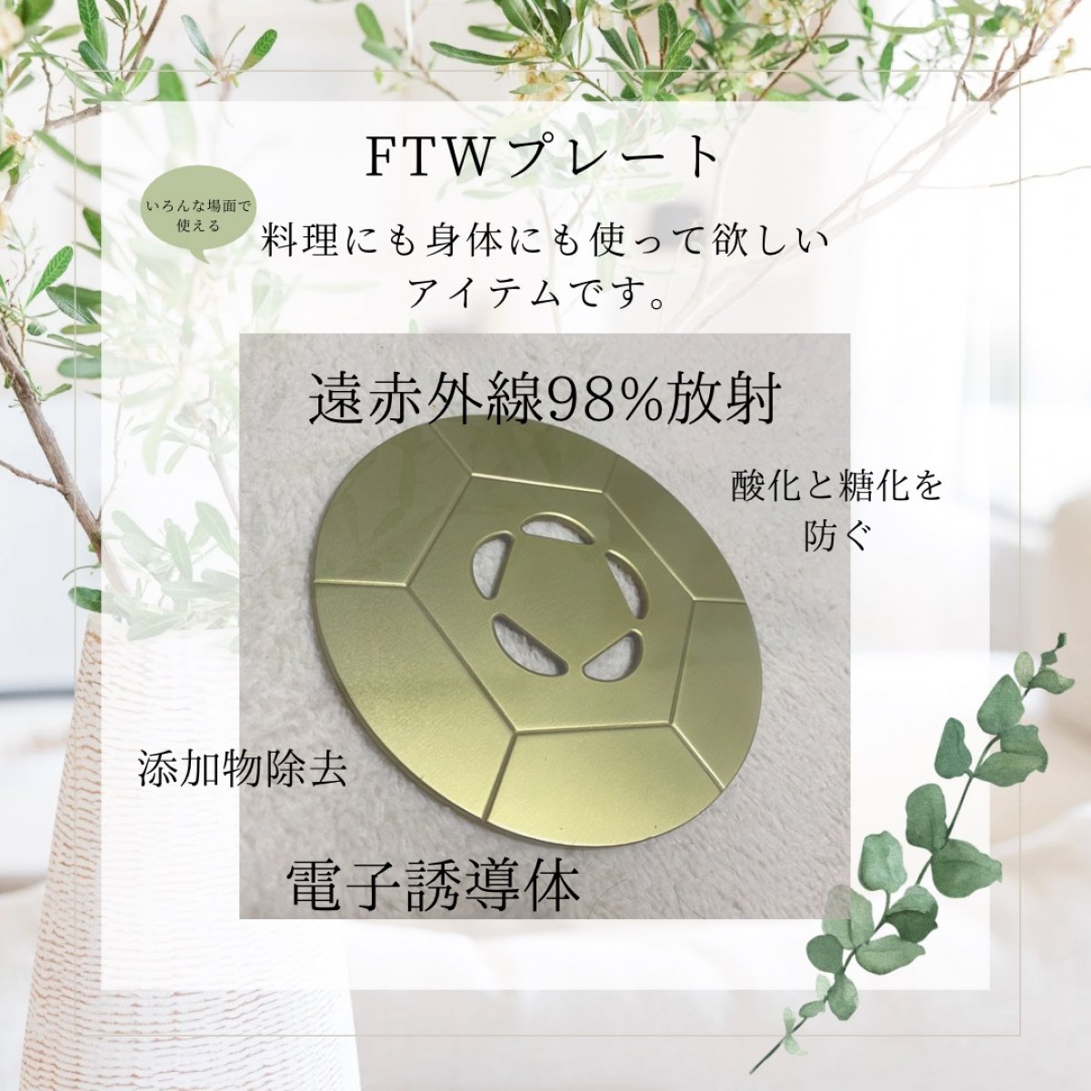 kotokoto様専用FTWビューラ プレート入れ＆Gフォーグフォーグ入れ FTW