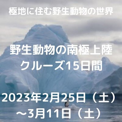 【催行決定！】野生動物の南極　上陸クルーズ 15日間【残席３】