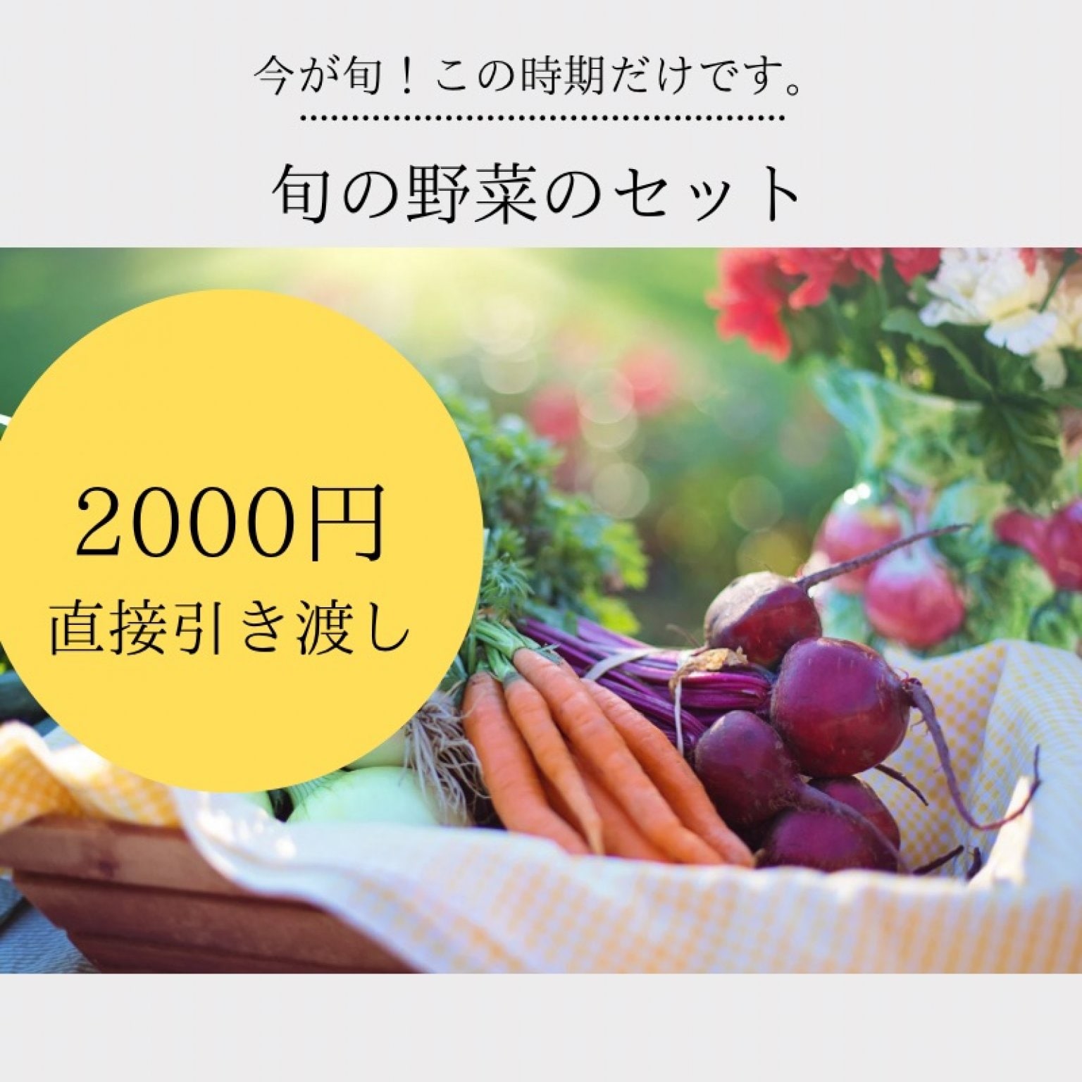 旬の野菜セット