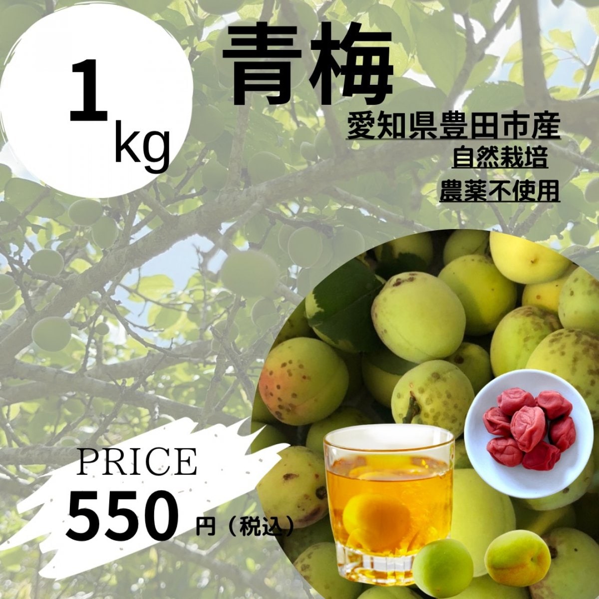 自然栽培青梅　南高梅1キロ