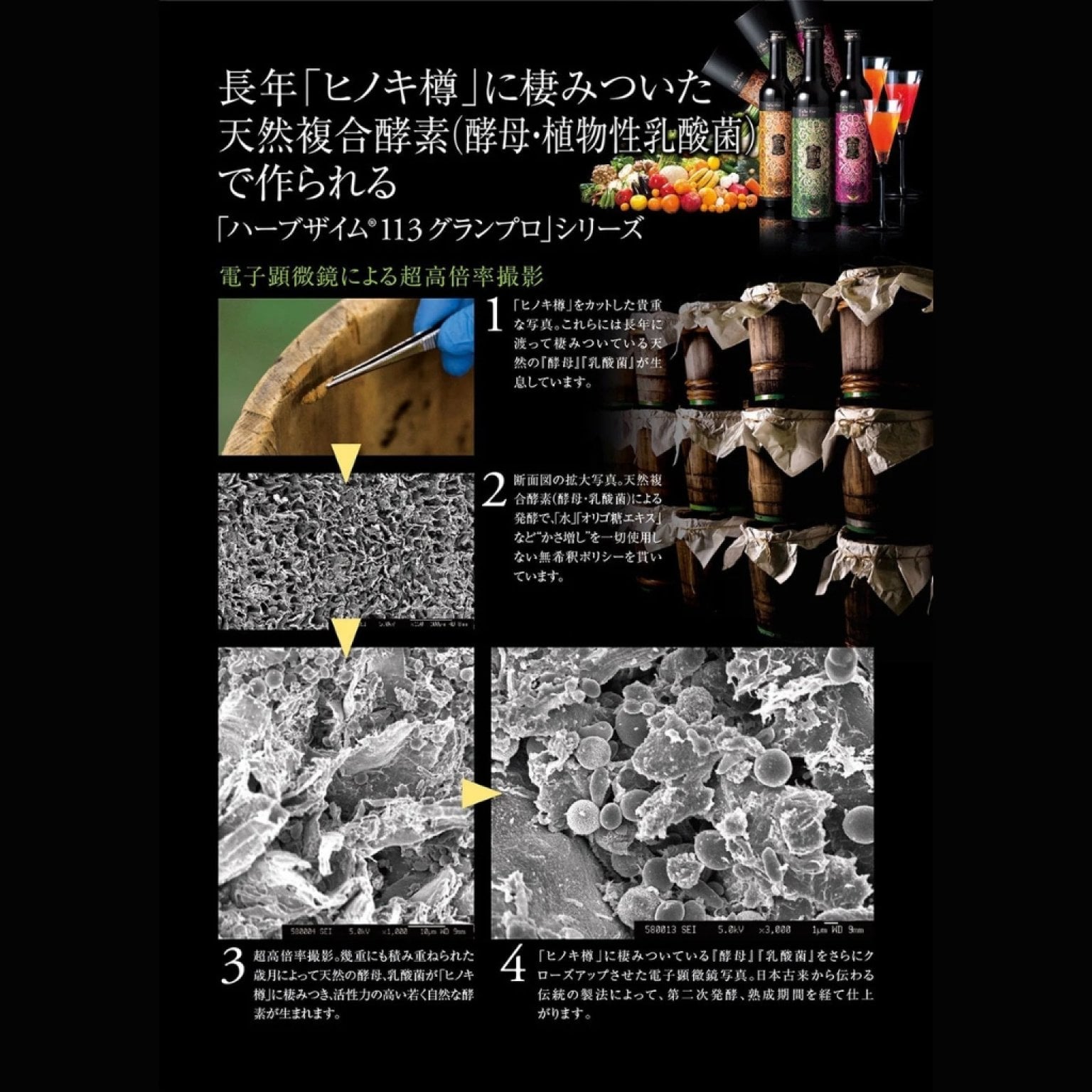 【新春限定販売｜高ポイント還元｜ハピちゅら福袋】エステプロラボ｜ハーブザイム１１３グランプロ｜竹コース（５本セット販売）｜Esthe Pro Labo 