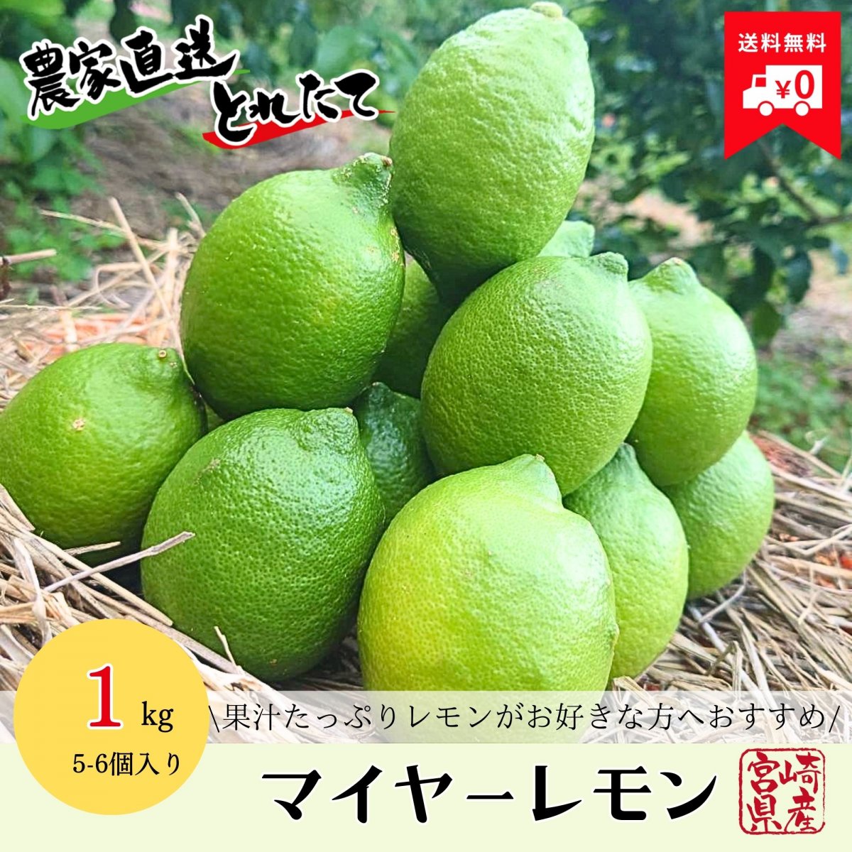 《先行予約販売〜10月1日から順次発送開始〜》【期間限定品】宮崎県産無 無農薬レモン(マイヤーレモン) 1kg (1個当たり約150g,5-6個入り)｜ 産地直送　オーガニック　串間市都井｜石上農園