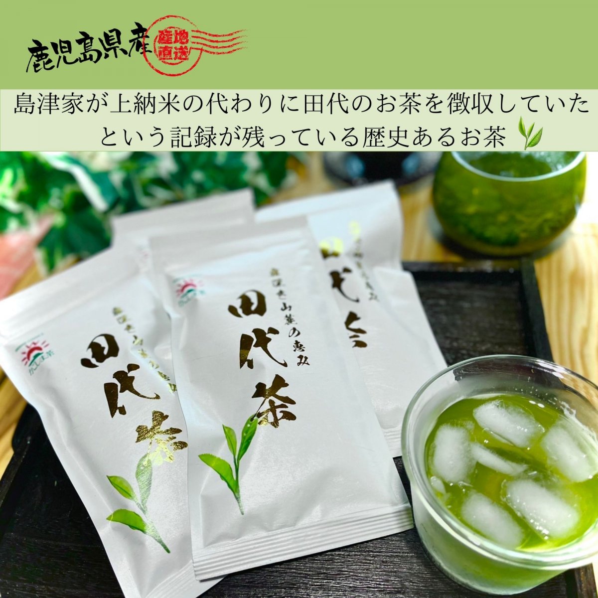 【5月販売予定】【お茶のキリマンジャロ】田代茶(茶葉100g入) 浅蒸し茶｜産地直送   鹿児島茶｜鹿児島県錦江町 光農園｜レターパックでの発送