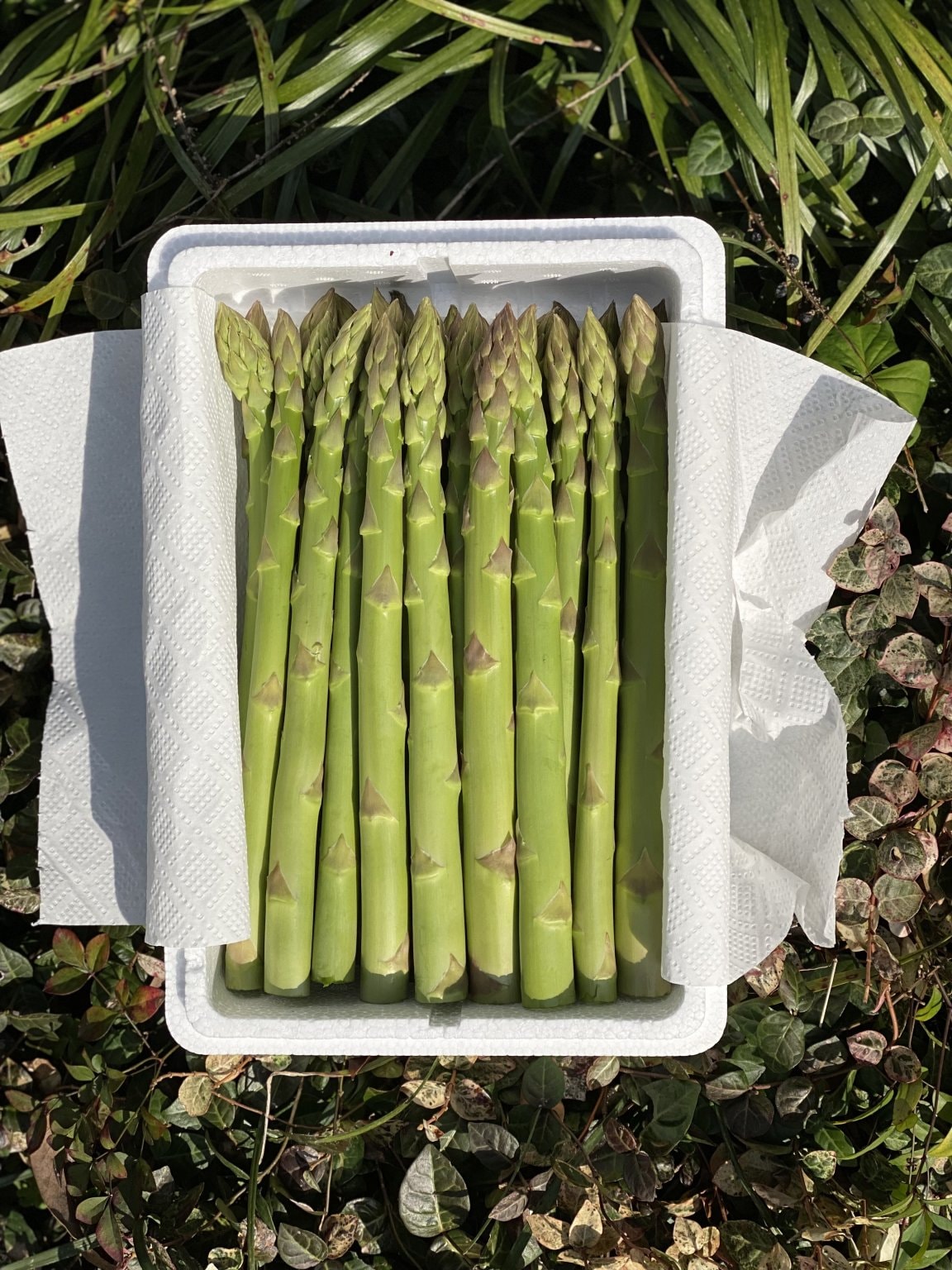 ベジタリのお野菜チケット