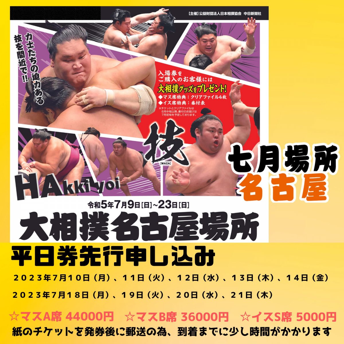 大相撲 チケット 名古屋場所 7月19日-