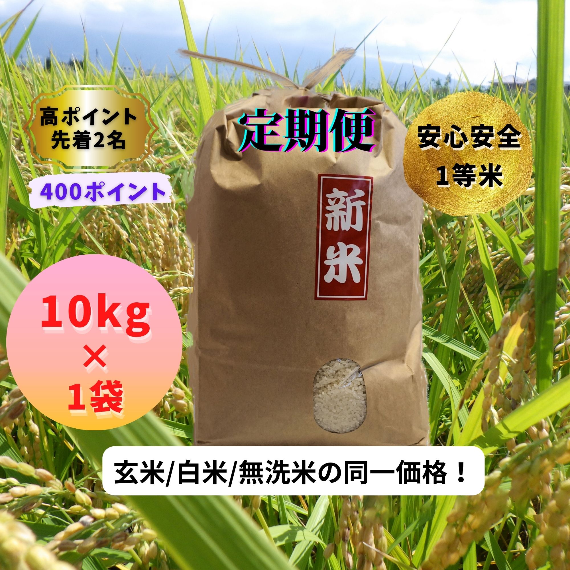 定期便】【高ポイント】【令和４年長野県産コシヒカリ新米 10kg】 小さいお子様にも安心、手間をかけた残留農薬のない安心安全１等米！  初回お届けに”腸育みtea 温活ノンカフェインブレンド茶 2回分”をプレゼント！|信州こめ農家 ほらぐちファーム（安心安全1等米 ...